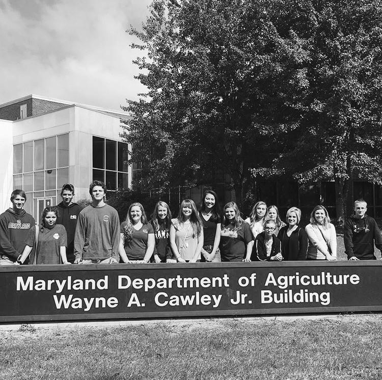 The junior and senior NRAS plant program classes begin to prepare to take the CPH exam at the Maryland Department of Agriculture Building. The classes identify surrounding plants to have an edge on the other groups participating in the test. 