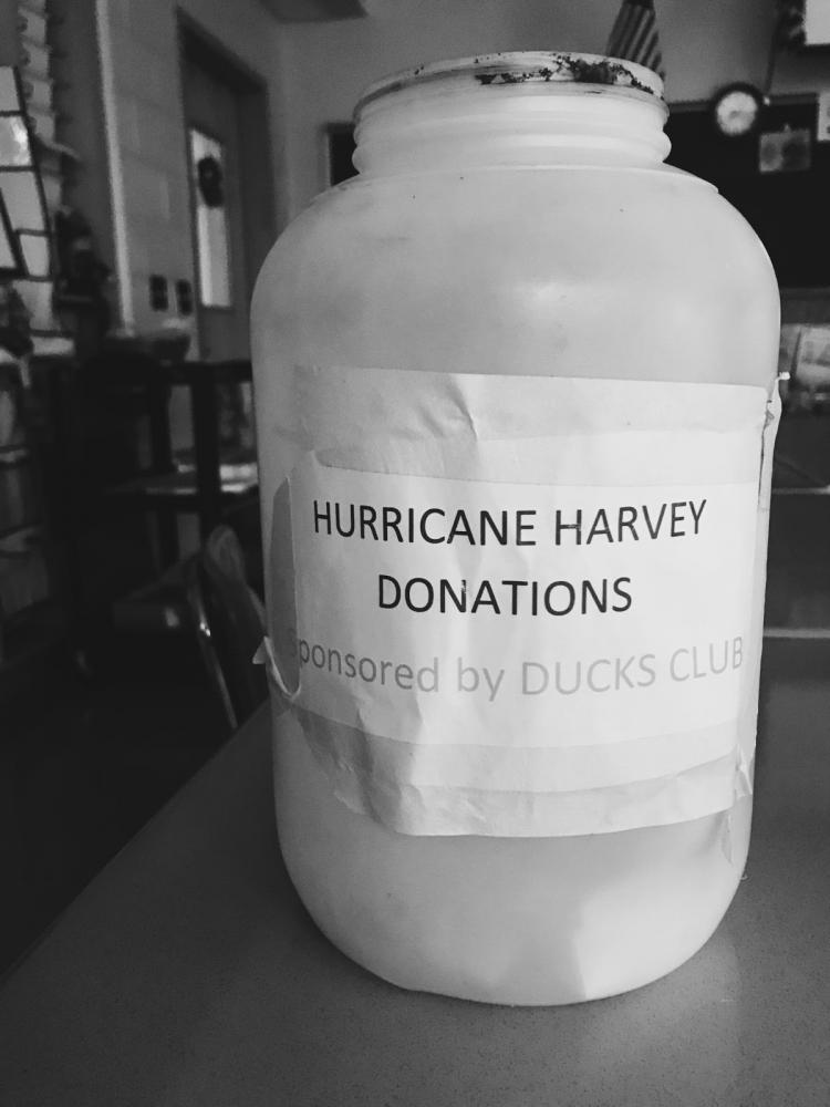     Money D.U.C.K.S. members raised will continue to help those affected by natural disasters.