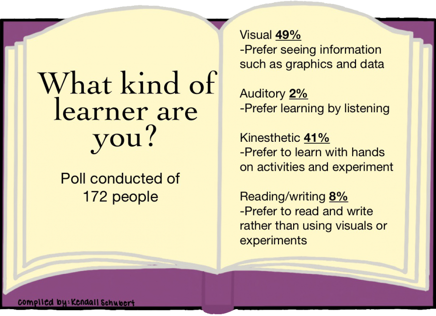 What+kind+of+learner+are+you%3F