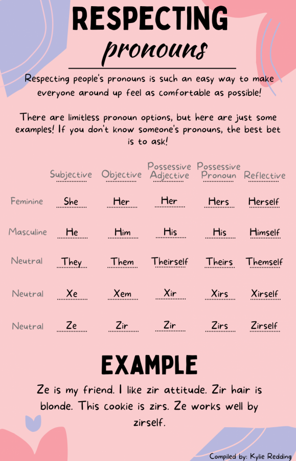 Respecting+Pronouns+Graphic