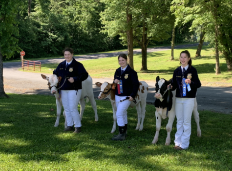 Students holding winning ribbons with their steer. Members won, Jocelyn Bickler, 1st Novice showman, Reserve champion overall, Izzy Hendricks, 2nd Novice Showman, Madison Kingsley, 2nd Senior showman (from left to right). 