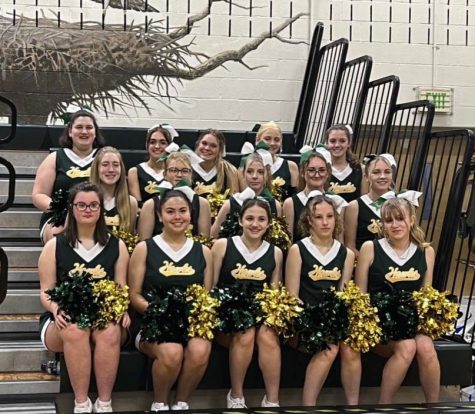 Let’s hear it for Hawk spirit; Winter cheer team encourages from sidelines