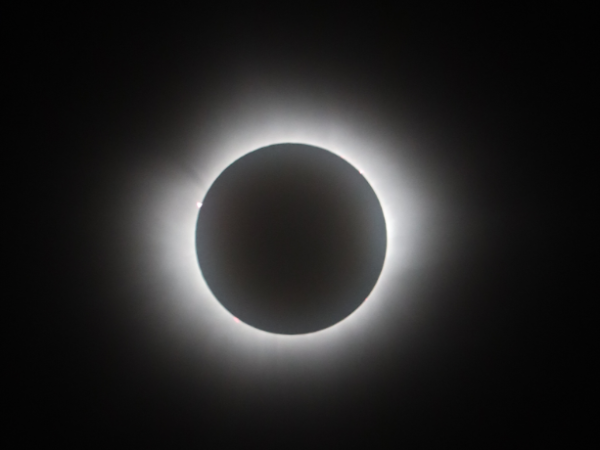The solar eclipse on April 8 was visible all over the United States. People all over watched the total solar eclipse throughout the day. 

