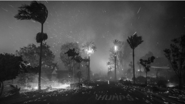 High winds have been the main cause for the raging fires happening in LA, being the suspect of the cause of the biggest fire in L.A., the Palisade.
